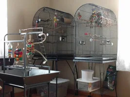 Cage Suggestions?