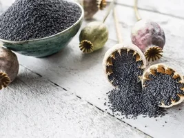 Poppy seeds..... Yes or no?