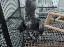 Hello Everyone!