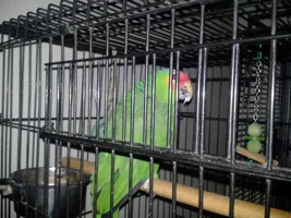 Wow a new bird
