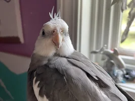 New baby!