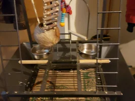Prevue Small Parrot Playstand