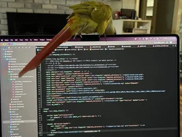 Ona’s Thread