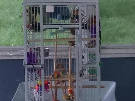 Your cage setup? : )