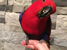 pictures of my pretty girl!