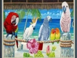 The best Bird meme!!