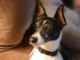 My Best Friend