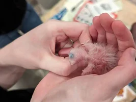 Baby Photos!