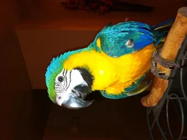 Our new baby.