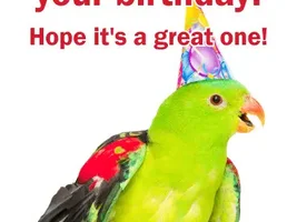 Happy Birthday wrench13!!!