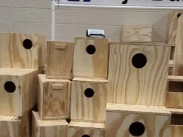 Hickory Bird Mart report