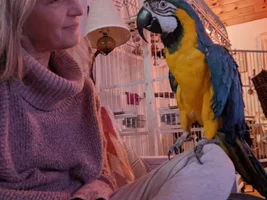 "Importing" my beloved to Canada - Please help!