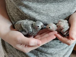 Baby Photos!