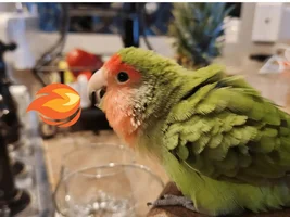 June Photo of the Month Contest