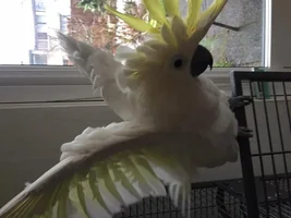 Beautiful moments together, sweet sweet beautiful Kiki