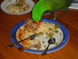 Mac decided he wanted the BIG plate..............