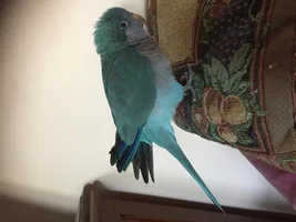 November 2019 POTM Contest