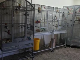 Where is your parrots cage?