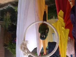 Drying macaw