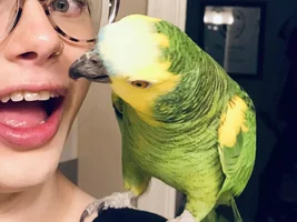 May 2019 POTM contest!