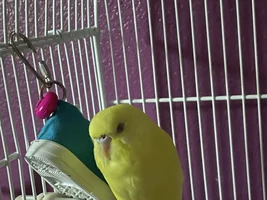 New baby!