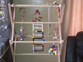 Suggestions for additions to my "play gym"?