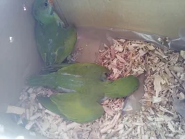 Ocassional Runny Poop & Unusual Sleeping Pattern