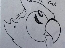 Check out some of what I have drawn, painted, and some coloring pages I have filled in!