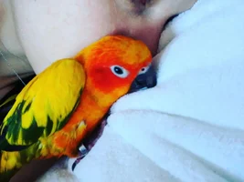November POTM Contest