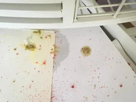 Poop question, not sure this is normal?