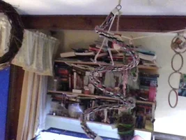 Enrichment ideas, share yours