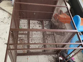 Conure cage for sale $80 negotiable, will take trades