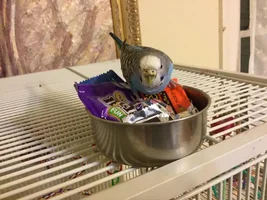 October POTM Contest
