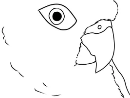 Zoruās art thread! :)