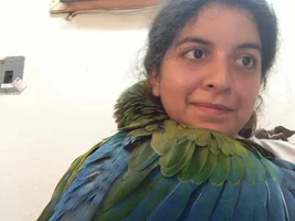 Macaw breeder horror story