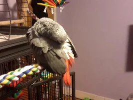 Finally home! I'm in love!