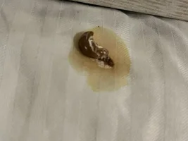 should i be concerned about my conure and take her to the vet?