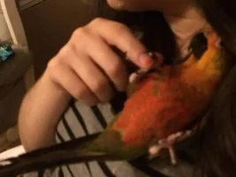 Belly Scratches!