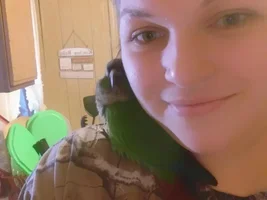 Major Progress With Kiwi!