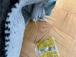 Bumble-ing Along