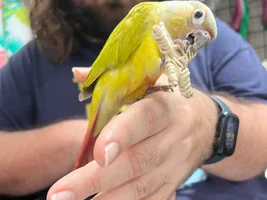Birdie Baby Pictures