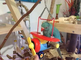 Skiddles in Flight training School