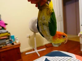 August 2018 POTM Contest