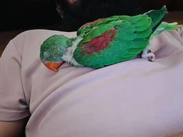 Is it normal for her to sleep like this