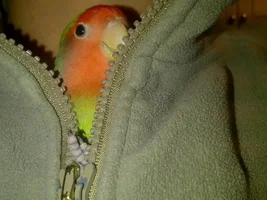Basil's favourite place