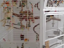 The "Squeak Squad" gets some new digs