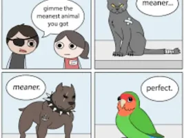 The best Bird meme!!