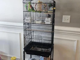 Cage upgrade!!!!!!!