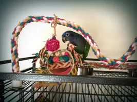 Just wanted to share pics of Jewel..