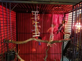 Could really use some experienced help